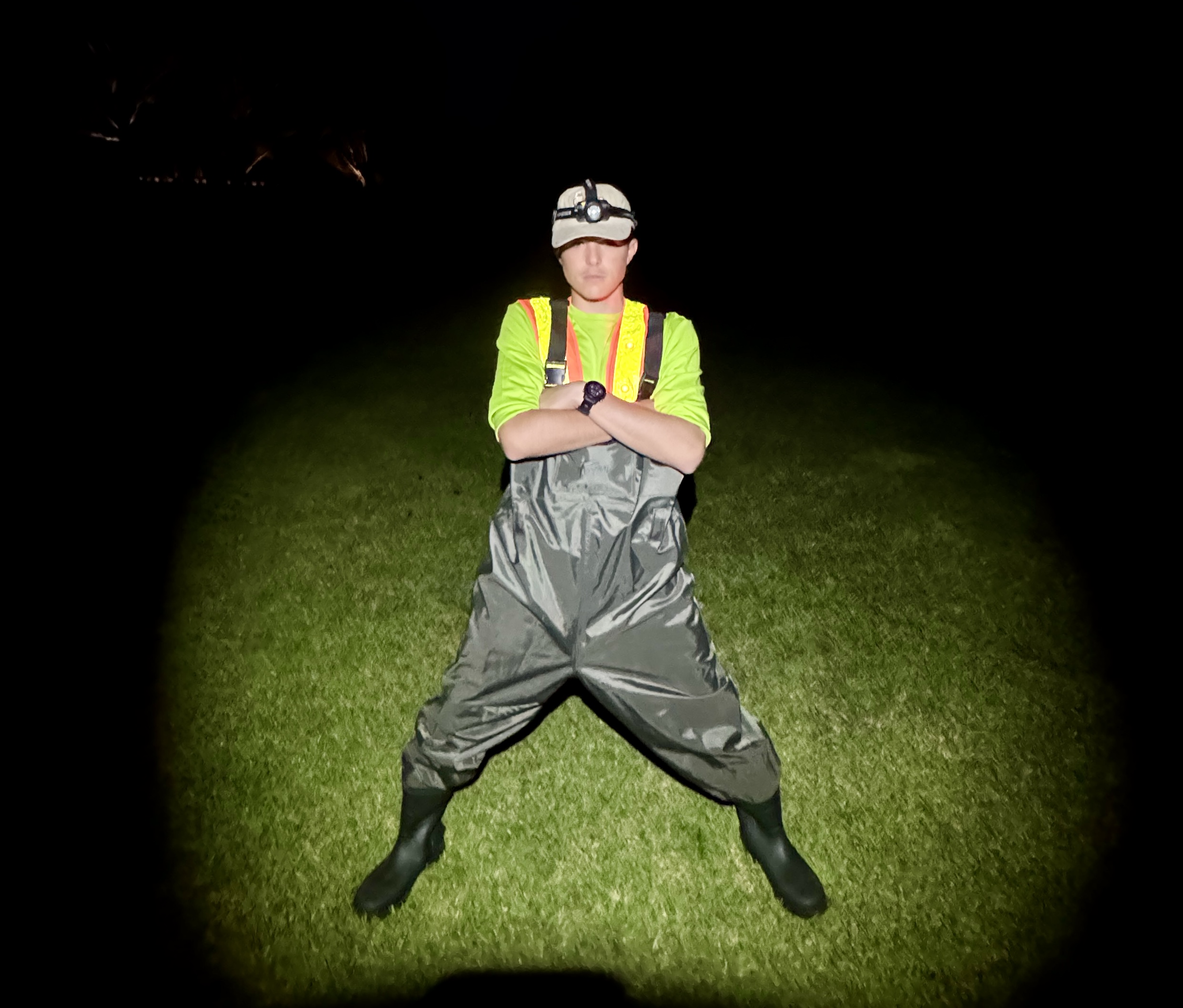 Professional cane toad property inspection