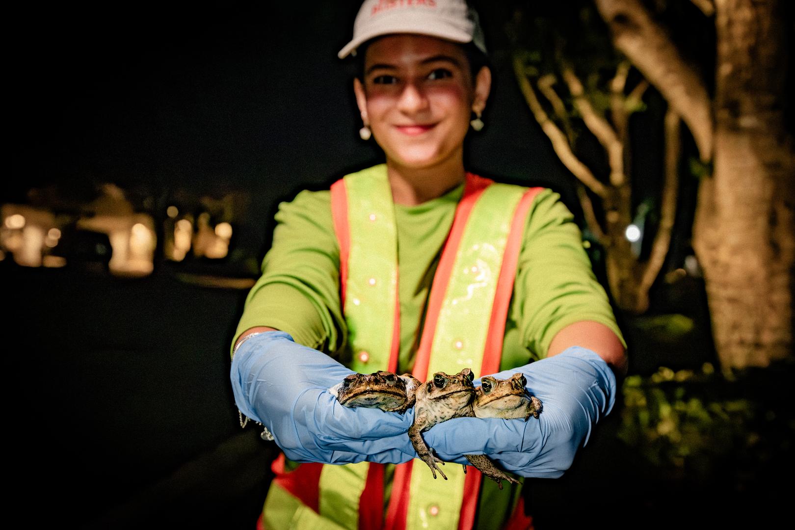Professional Toad Handling by Team Member